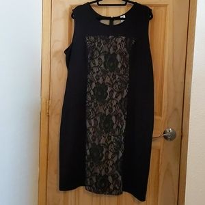 Lace Panel Dress